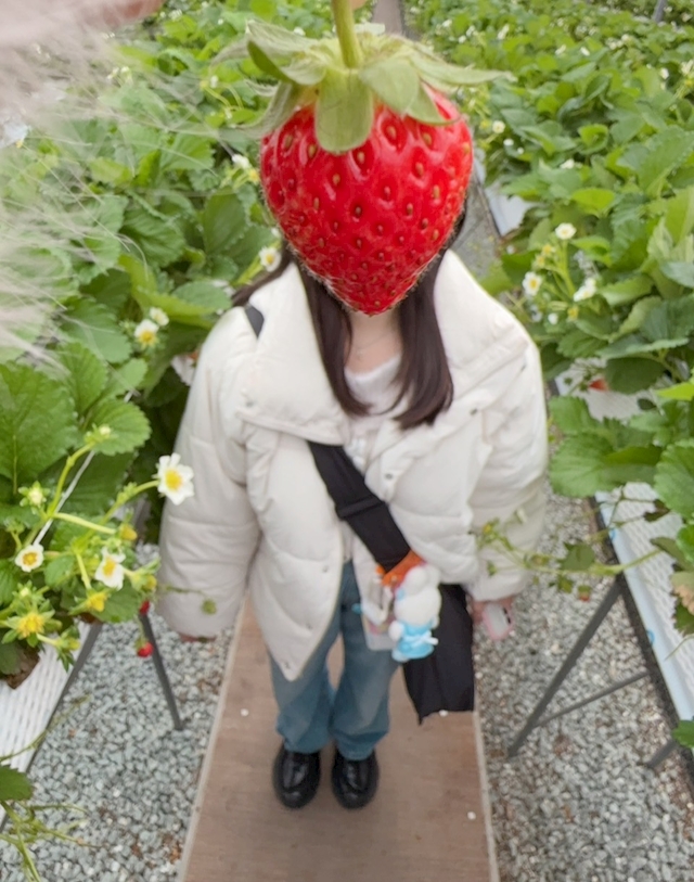 プロフィール写真1・助っ人日本人｜