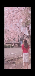 一条 ゆり