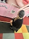 プロフィール写真3・きょーか｜Bar baby・ベイビー - 松山市のガールズバー