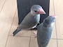 新着ブログ えー‼️