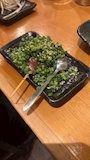新着ブログ ˚✧₊⁎❝᷀ົཽ≀ˍ̮ ❝᷀ົཽ⁎⁺˳✧༚