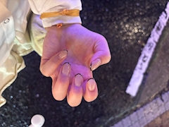 つくし