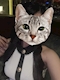 プロフィール写真1・もも シュシュ新橋烏森口店|ChouChou Shinbashi・シュシュ新橋烏森口店 - 新橋のキャバクラ