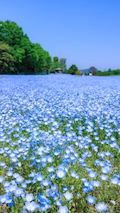 まさみ