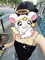 chiko