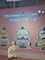 chiko