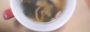 新着ブログ お味噌汁の中身は…( ˵> <˵ )