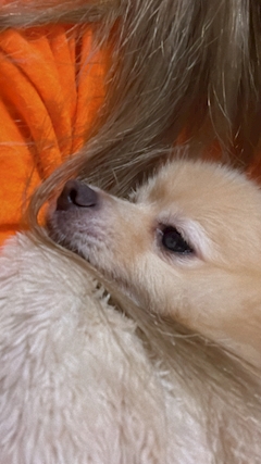 SHOKO