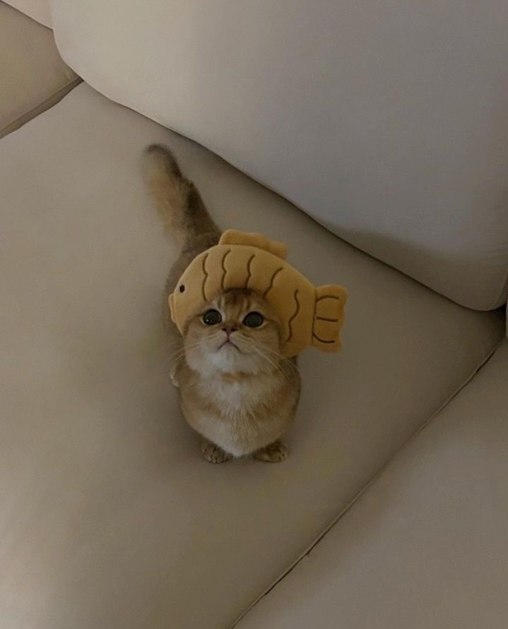 さら