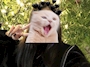 めぐ
