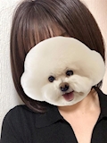あみ