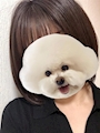 あみ