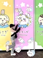 のえる