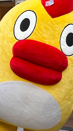 ぷゆ