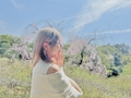 あいね