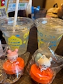新着ブログ ( ˙灬˙  ):︎︎✌︎︎