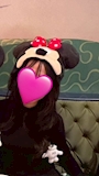 中山しずく
