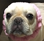 高嶋シェフ