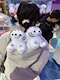 プロフィール写真2・あやの｜BinGo・ビンゴ - 上野のガールズバー