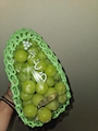 新着ブログ 🍇