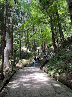 🌺まふ🌺　シーサイド「山形～！」