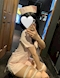 プロフィール写真1・るり|KAKUREGA・カクレガ - 名古屋 金山のキャバクラ