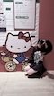 プロフィール写真6・てぃあちゃん|BAR Marine