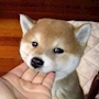 ことの