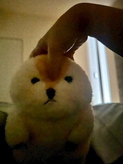 りつ