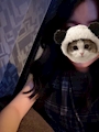 chiko