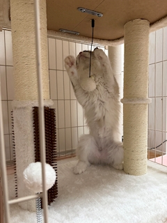 なぽ