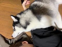 ほのか