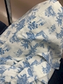 新着ブログ こんちゃ!