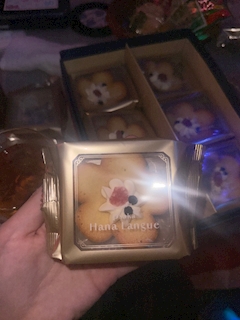 体験2日目終了🌙
