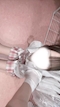 プロフィール写真2・りさ🐶🤍Zcafe|Z CAFE 名古屋駅前店・ゼットカフェ - 名古屋 名駅のキャバクラ