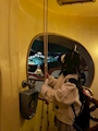 ちな