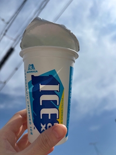 せな