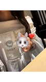 chiko