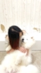 プロフィール写真2・れな🧸🍋|Oct.・オクト - 広島市(流川)のスナック
