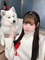 新着ブログ わん!🐶