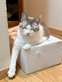 新着ブログ 22時から!!