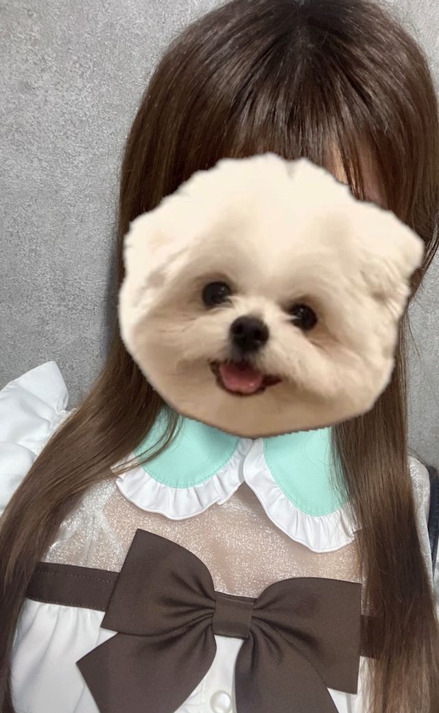 プロフィール写真1・せいら【高円寺ならここ】|