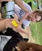 プロフィール写真4・めい|carthago・カルタゴ - 尾張 蟹江のキャバクラ
