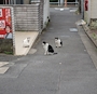 新着ブログ 6月最終日