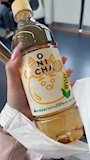 chiko