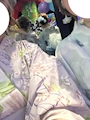 うらら