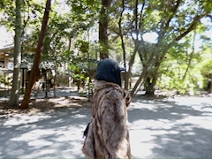 プロフィール写真2・はるか｜VAMOS YOKOHAMA・バモス ヨコハマ - 関内のガールズバー