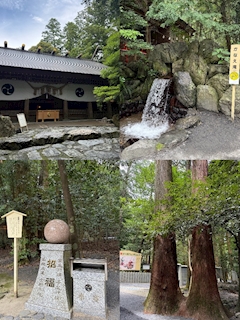 れいな