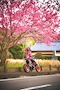 プロフィール写真2・すず｜Ane Collection Vivi・ヴィヴィ - 浜松のキャバクラ