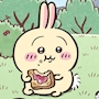 chiko